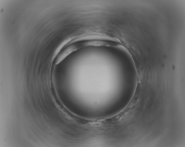 X0000076380052200610202049