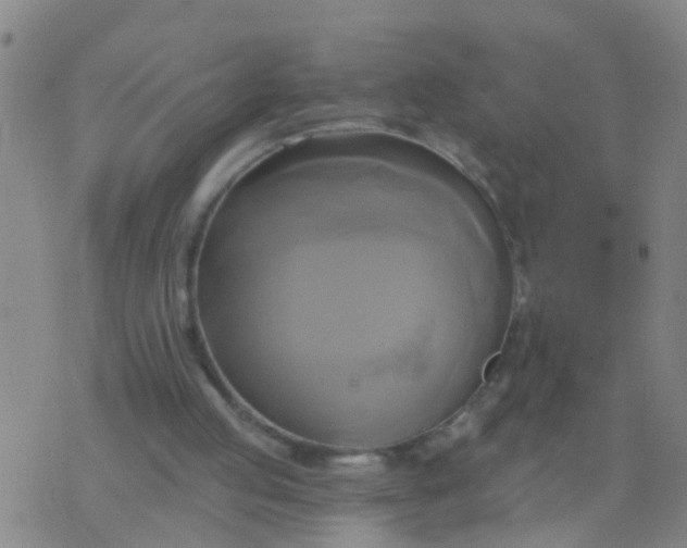 X0000076380053200610202049