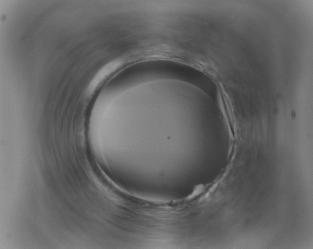 X0000076380054200610202049