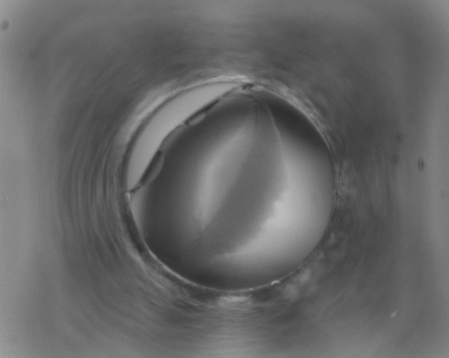 X0000076380055200610202049