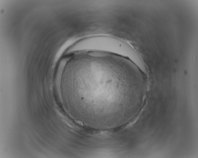 X0000076380056200610202049