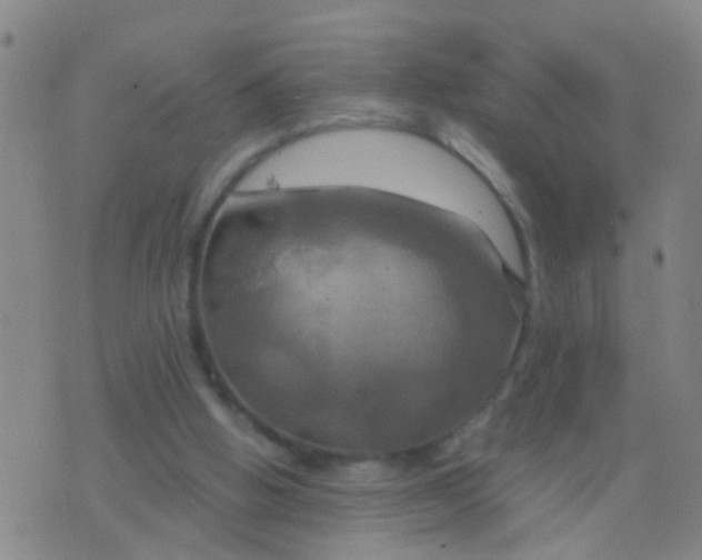 X0000076380058200610202049