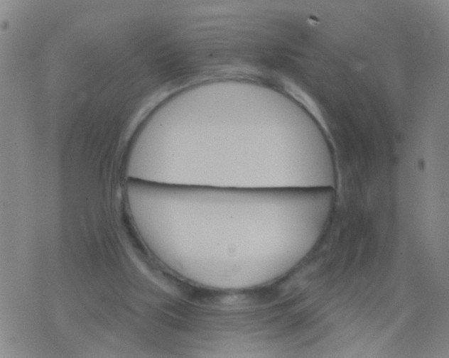 X0000076380059200610202049