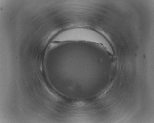 X0000076380062200610202050