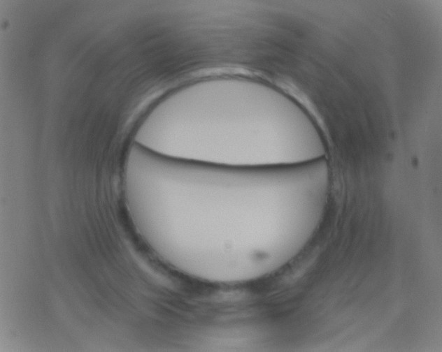 X0000076380063200610202050