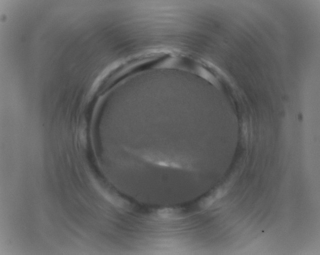 X0000076380064200610202050