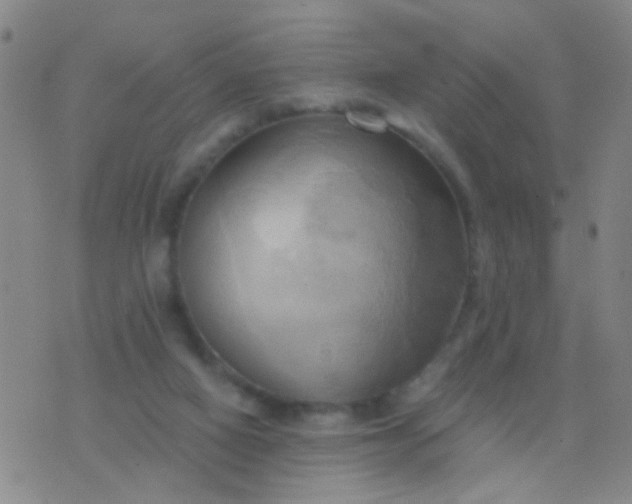 X0000076380066200610202050