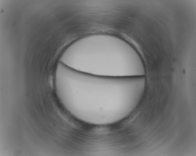 X0000076380067200610202050