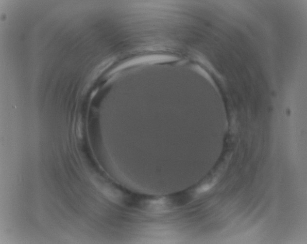 X0000076380068200610202050