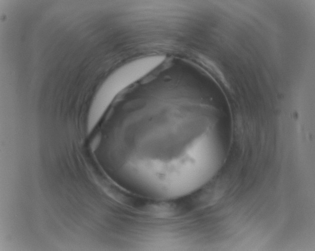 X0000076380069200610202050