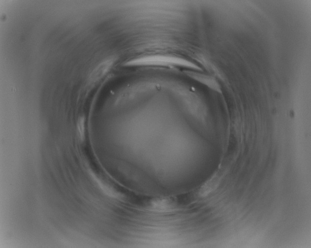 X0000076380070200610202050