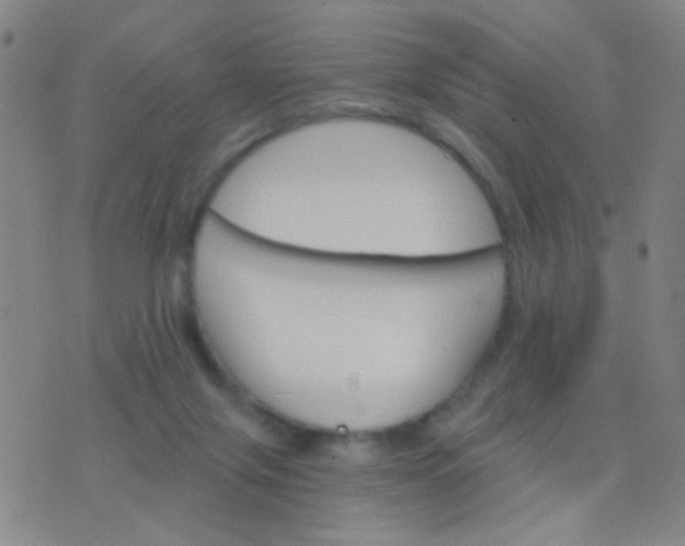 X0000076380071200610202050