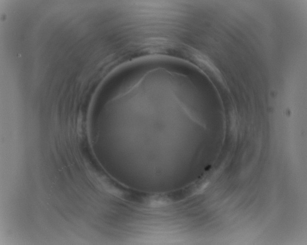 X0000076380073200610202050