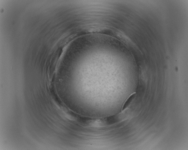 X0000076380074200610202050