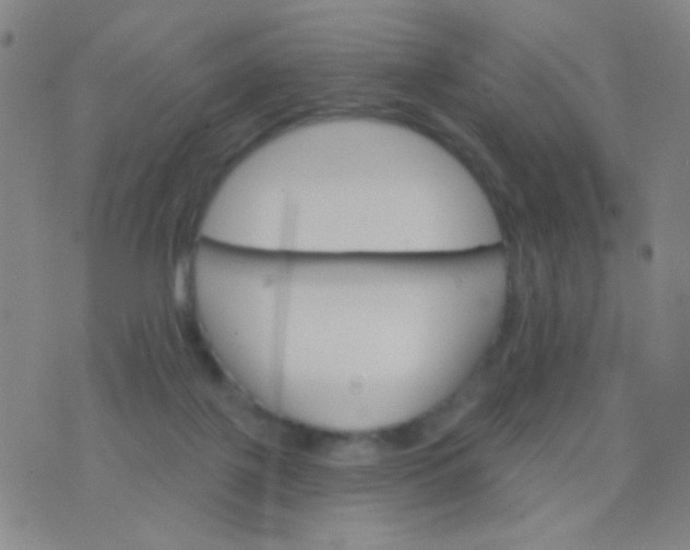 X0000076380075200610202050