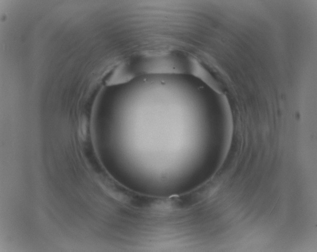 X0000076380076200610202050