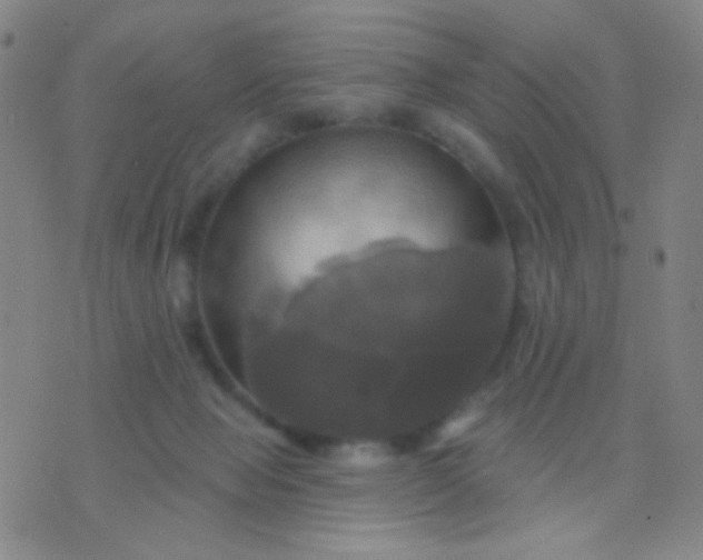 X0000076380077200610202050