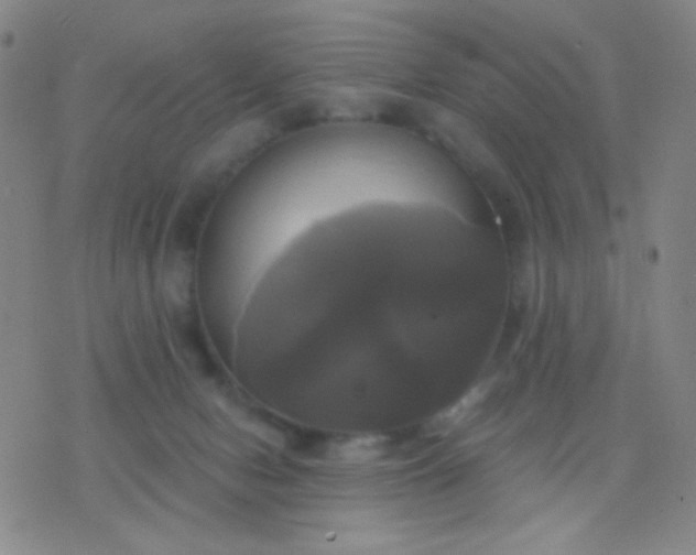 X0000076380078200610202050