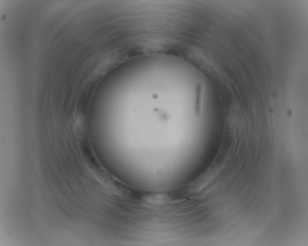 X0000076380079200610202050