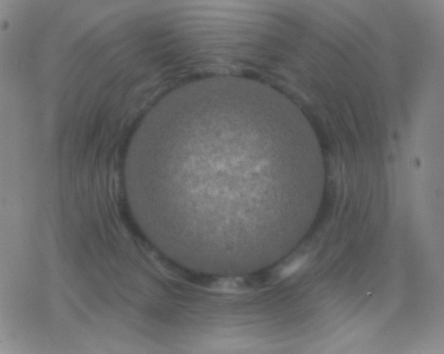 X0000076380080200610202050