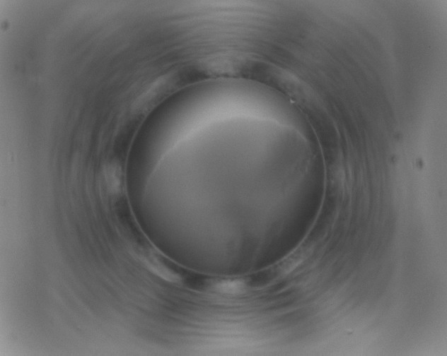 X0000076380081200610202050