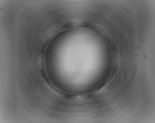 X0000076380082200610202050