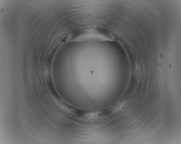 X0000076380084200610202050