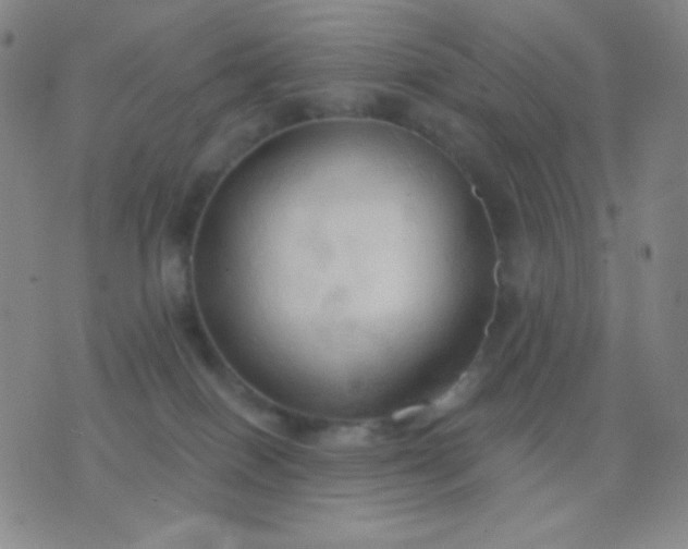 X0000076380086200610202050