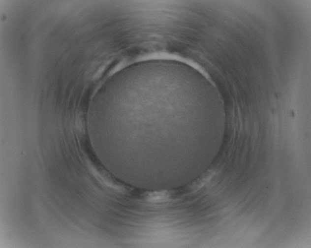 X0000076380088200610202050