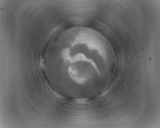 X0000076380089200610202050