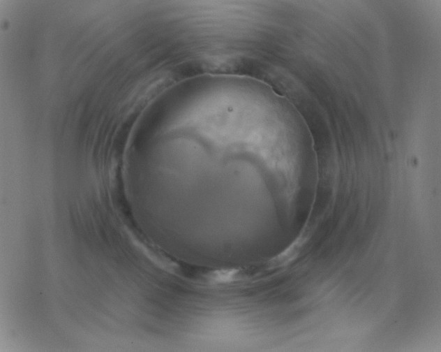 X0000076380090200610202050