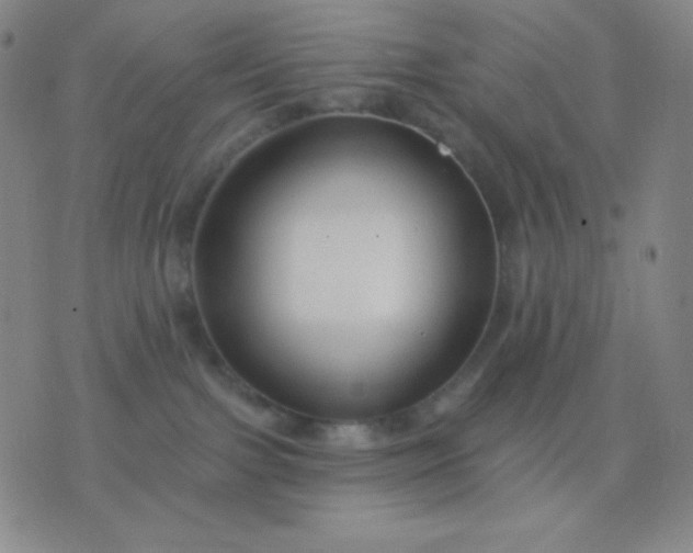 X0000076380091200610202050