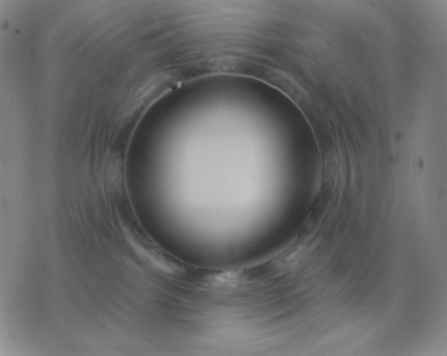 X0000076380092200610202050