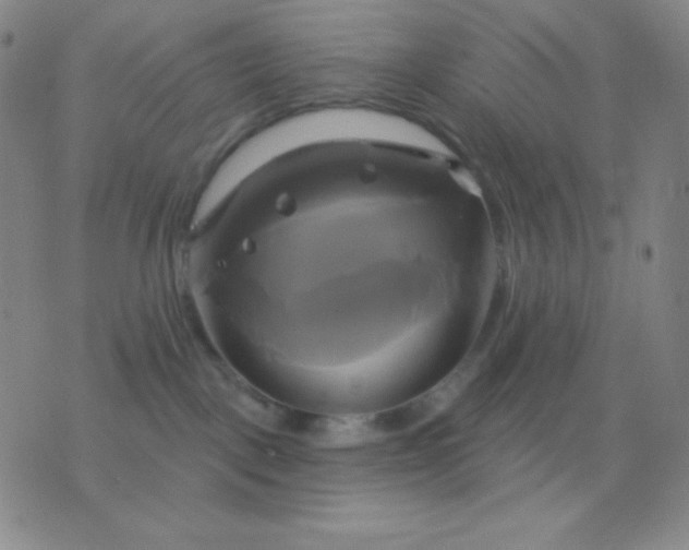 X0000076380093200610202050