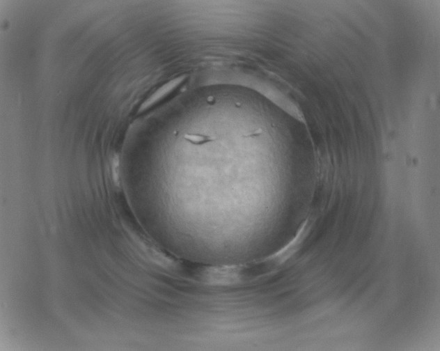 X0000076380094200610202050