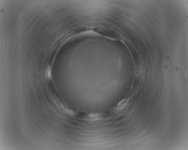 X0000076380095200610202050