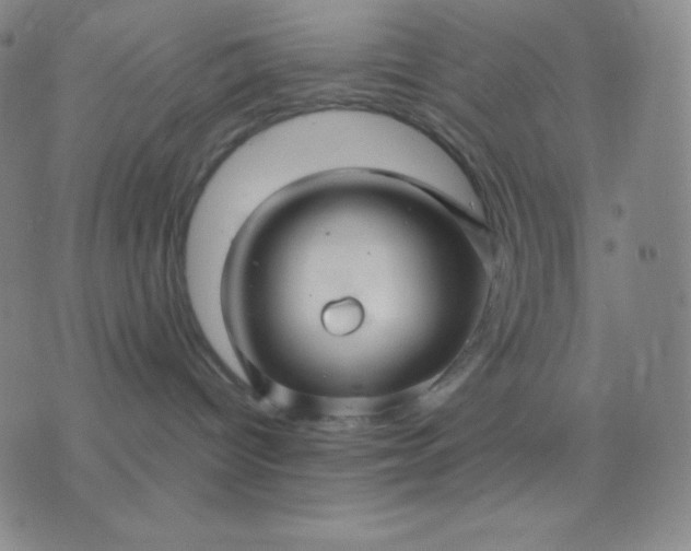 X0000076380096200610202050