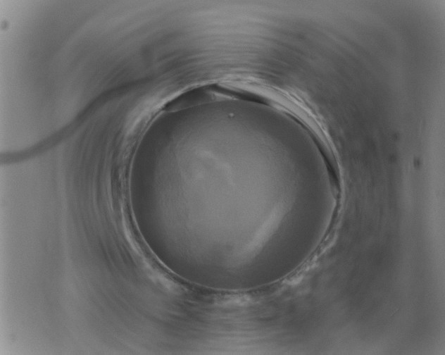 X0000076380097200610202049