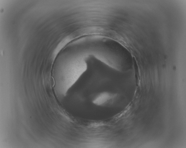 X0000076380099200610202049