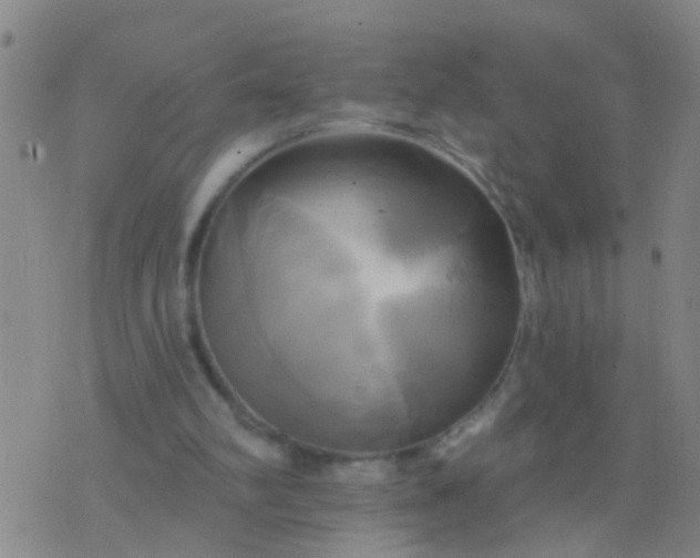 X0000076380102200610202049