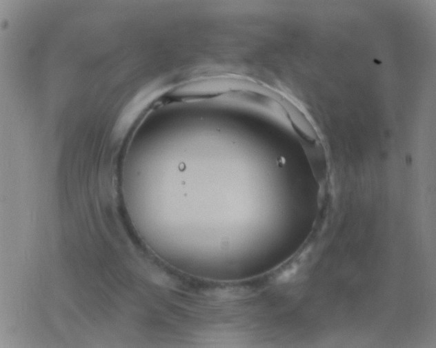 X0000076380103200610202049