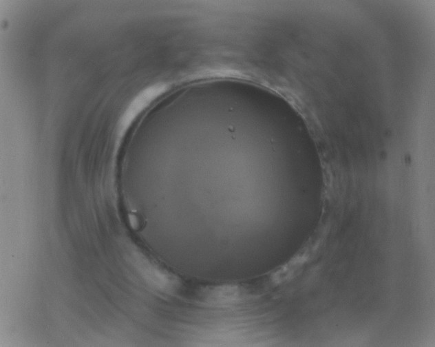 X0000076380104200610202049