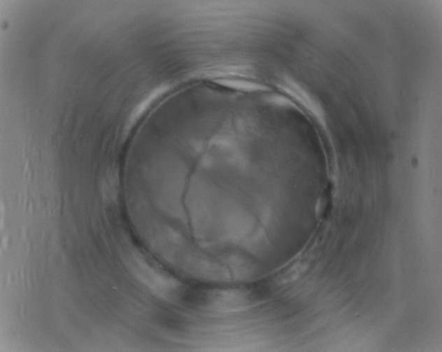 X0000076380107200610202049