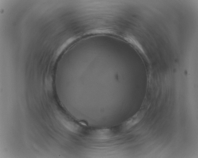 X0000076380108200610202049