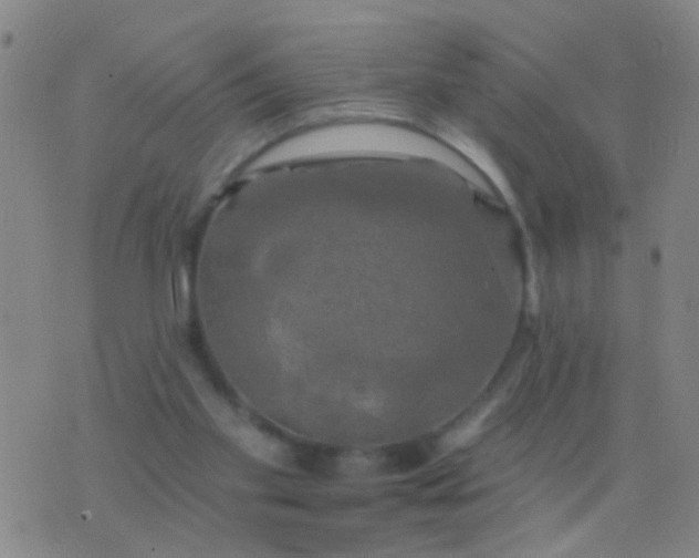 X0000076380109200610202049