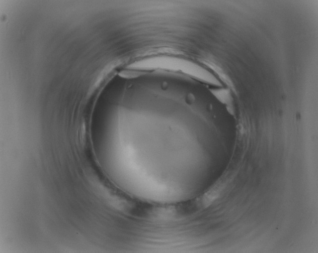 X0000076380110200610202049