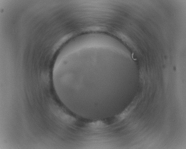 X0000076380112200610202049