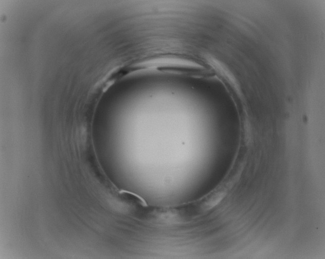 X0000076380113200610202049