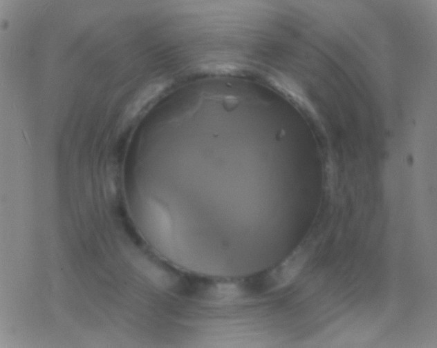 X0000076380114200610202049