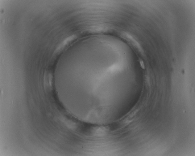 X0000076380115200610202049